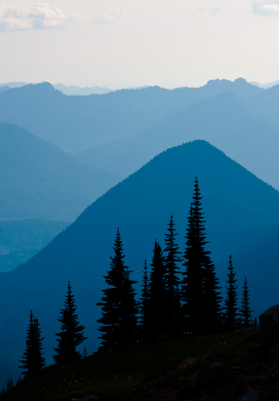 Subalpine Firs Silhouetted Against Peaks Of The Nisqually River Valley